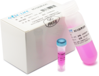 6305010 Набор реагентов для проведения реакции сиквенса Onelife BD3 Cycle Sequencing, 125 реакций