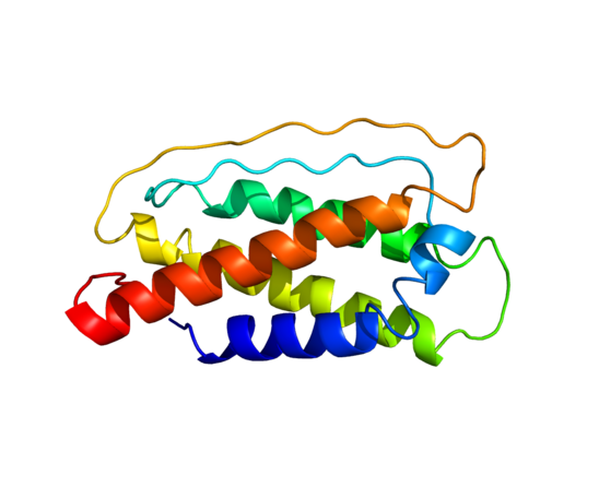 Рекомбинантный человеческий интерлейкин 7 Recombinant Human IL-7