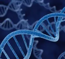 Эпигенетическая нестабильность и рак ранней стадии Эпигенетическая нестабильность и рак ранней стадии