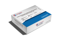 SPG-HL001R NGS панель для определения нарушений в генах, влияющих на фармакогенетику / Chemotherapy Pharmacogenomics Detection Kit