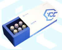 Набор реагентов DNA Library prep (PCR free)  kit (на 6 реакций) 