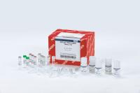 80272 Набор реагентов AllPrep DNA/mRNA Nano (12)