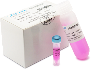 6305010 Набор реагентов для проведения реакции сиквенса Onelife BD3 Cycle Sequencing, 125 реакций