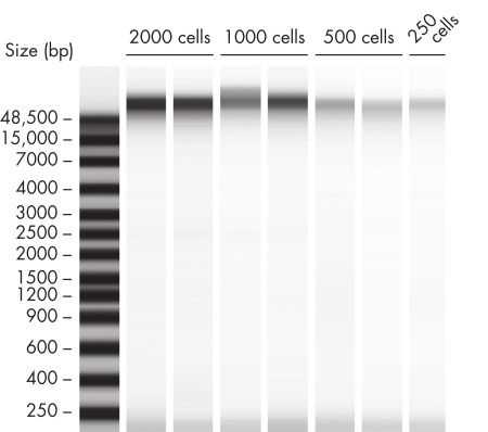80272 Набор реагентов AllPrep DNA/mRNA Nano (12)