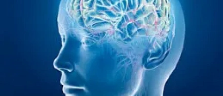 Прионный белок регулирует инвазивность стволовых клеток глиобластомы