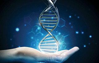 SQ00020-TM Инсталляция и инструктаж пользователя (Москва и МО) FASTASeq 300