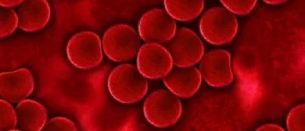 Персонализированное математическое моделирование предсказывает результаты лечения В-клеточной лимфомы