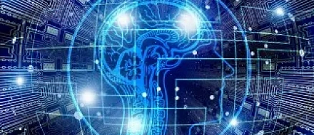 Искусственный интеллект с высокой точностью предсказывает клетки, убивающие опухоль