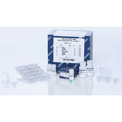 60404 Набор QIAamp DSP DNA FFPE Tissue Kit для выделения ДНК из FFPE-блоков (50 реакций)