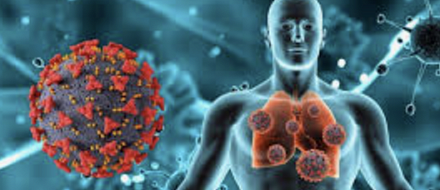 Внутриопухолевая Escherichia ассоциирована с улучшением выживаемости?