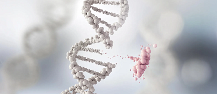 CRISPR как комбинированная терапия для лечения солидных опухолей