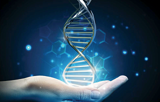 SQ00020-TR Инсталляция и инструктаж пользователя (Россия) FASTASeq 300