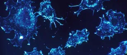 In vivo single-cell CRISPR выявляет различные программы TNF в эволюции опухоли