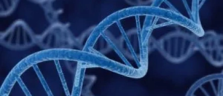 Секвенирование single cell РНК обеспечивает полную карту клеточных состояний при остром миелоидном лейкозе